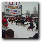 [Iditarod Real Start]